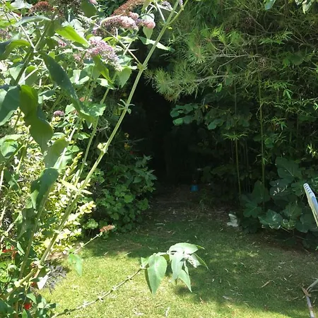 L Atypique Couette-café 3*