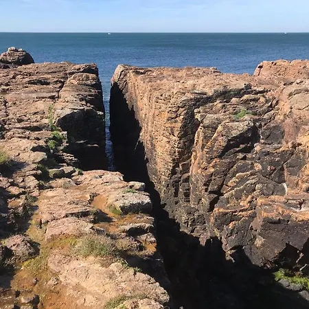 L Atypique 3* L'Ile-d'Olonne