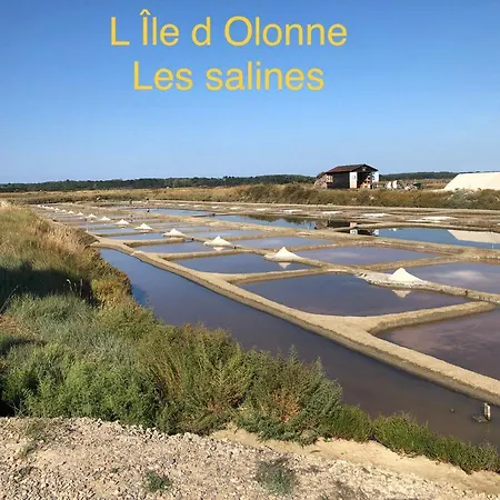 L Atypique 3* L'Ile-d'Olonne