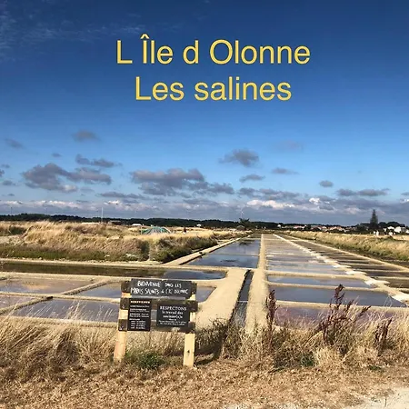 ベッド・アンド・ブレックファスト L Atypique L'Île-d'Olonne