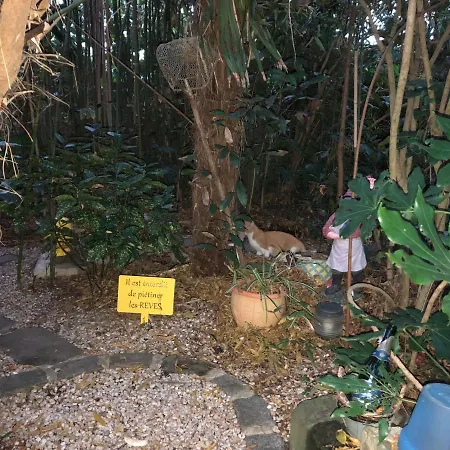 ベッド・アンド・ブレックファスト L Atypique