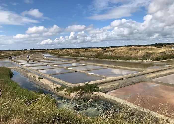 L Atypique Bed & Breakfast L'Ile-d'Olonne