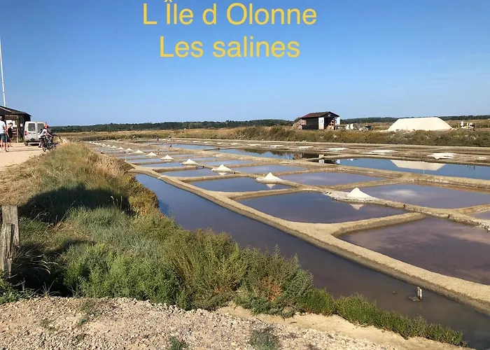 L Atypique 3* L'Ile-d'Olonne