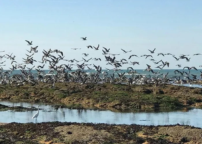 L Atypique L'Ile-d'Olonne